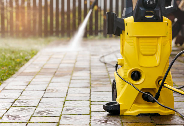 Animal Enclosure Cleaning in South River, NM